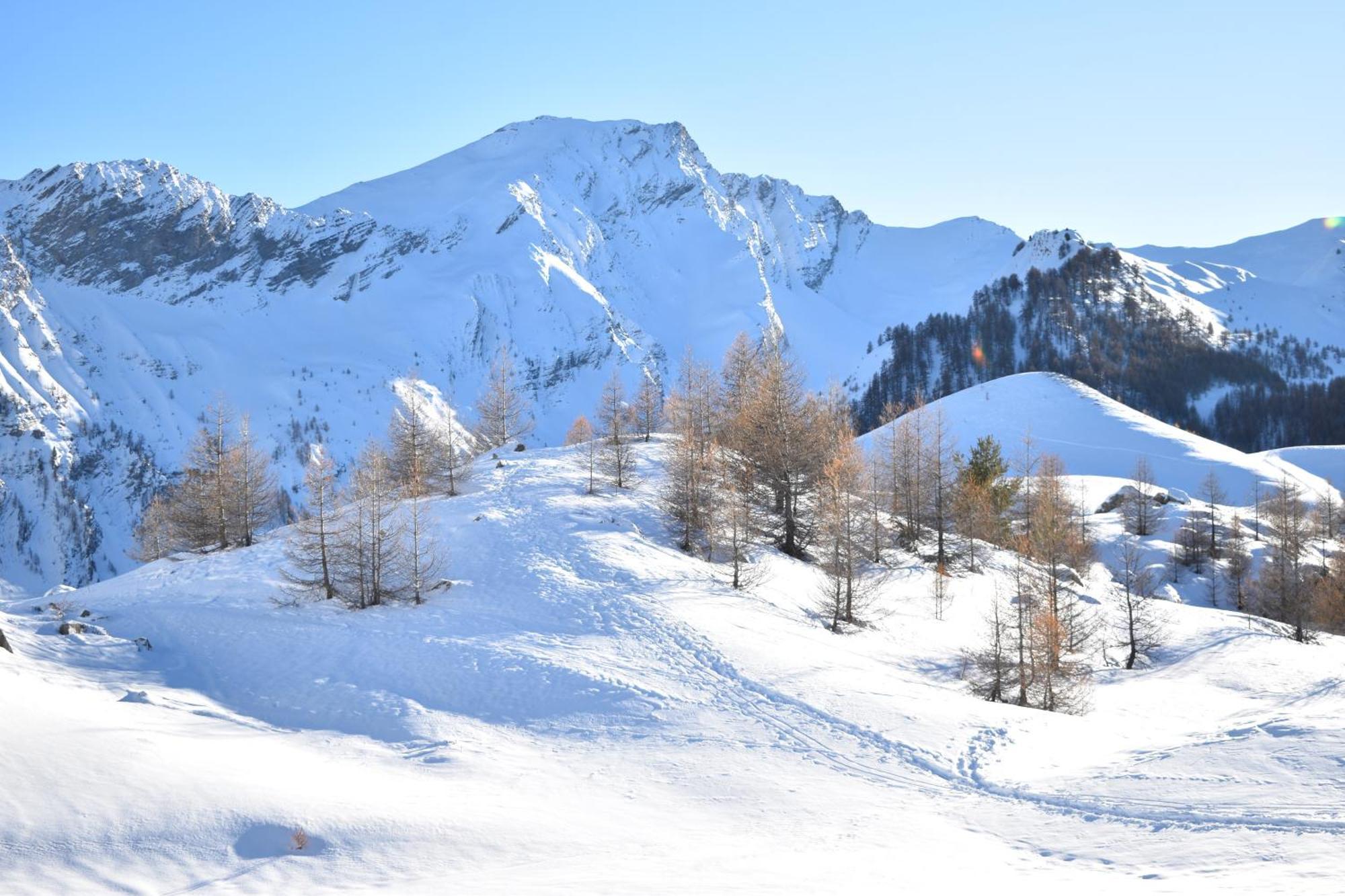 Residence Le Schuss Studio Montagne En Bas Des Pistes 바르스 외부 사진